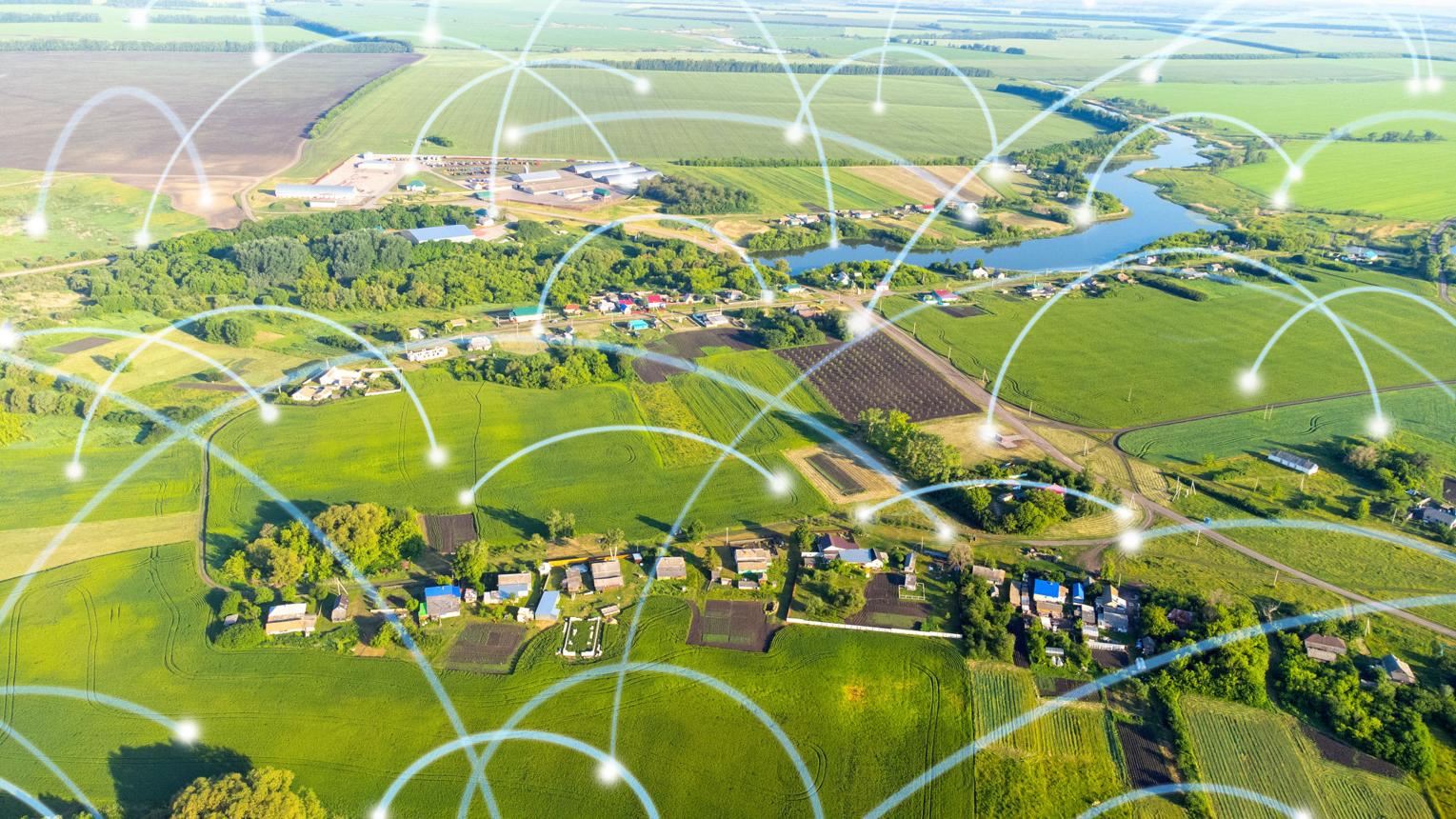 Federated Farm Logic Network